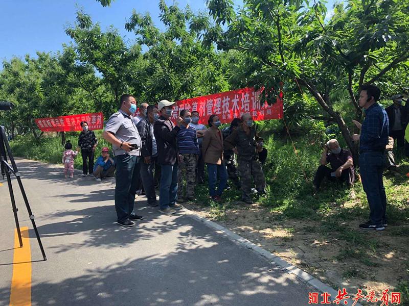 板栗专家王广鹏为栗农讲解使用除草剂的危害.贾云霞 摄