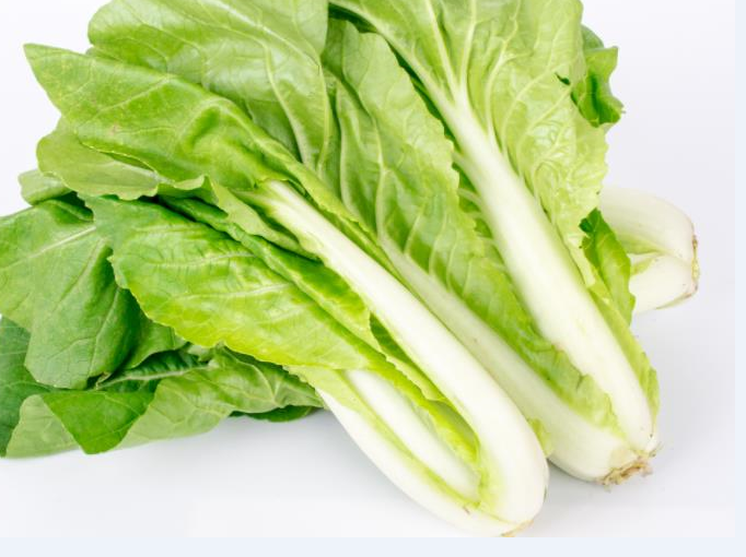 青帮白菜筋多白叶的味儿甜