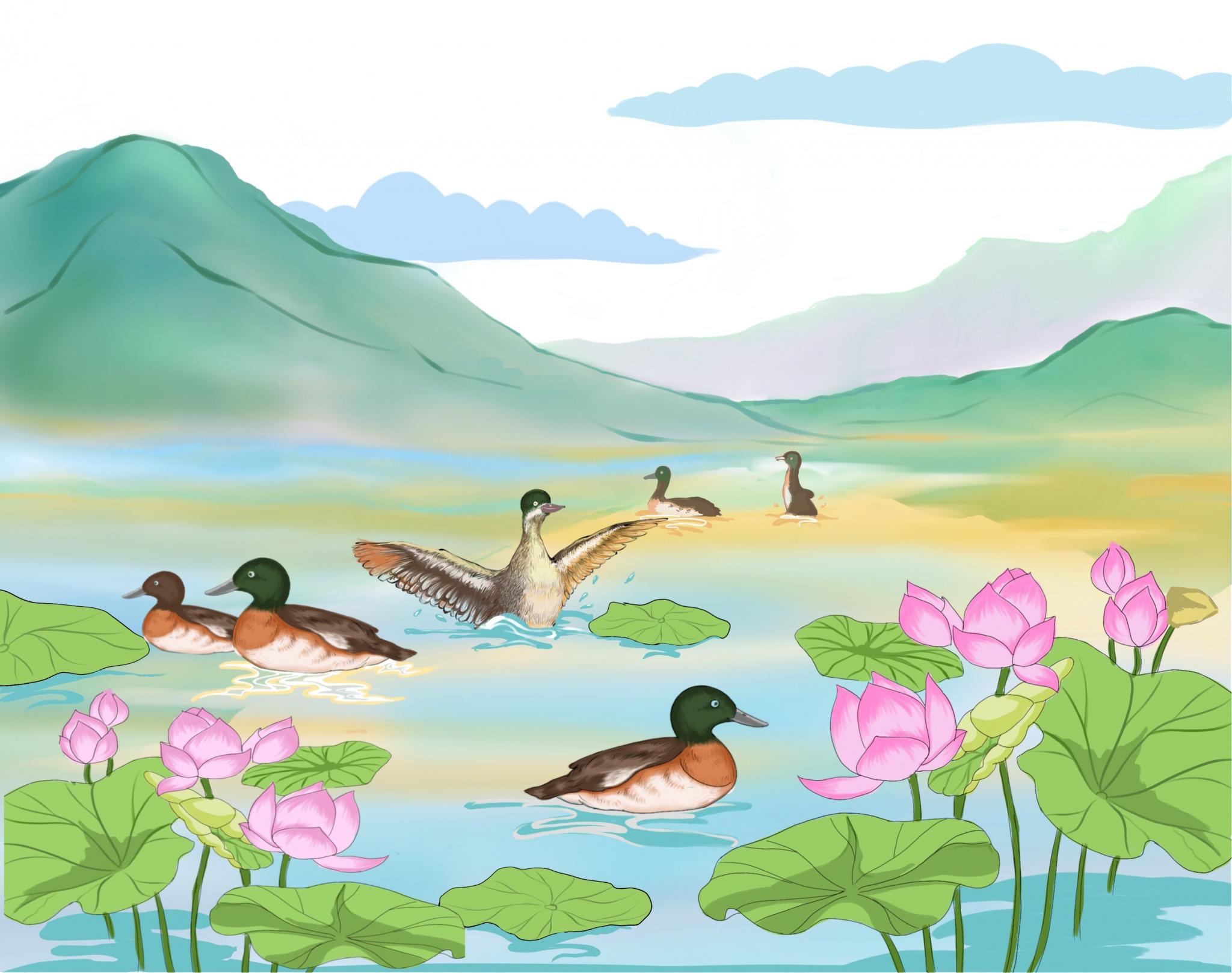 冀录画中话你好鸭欢迎来白洋淀安家