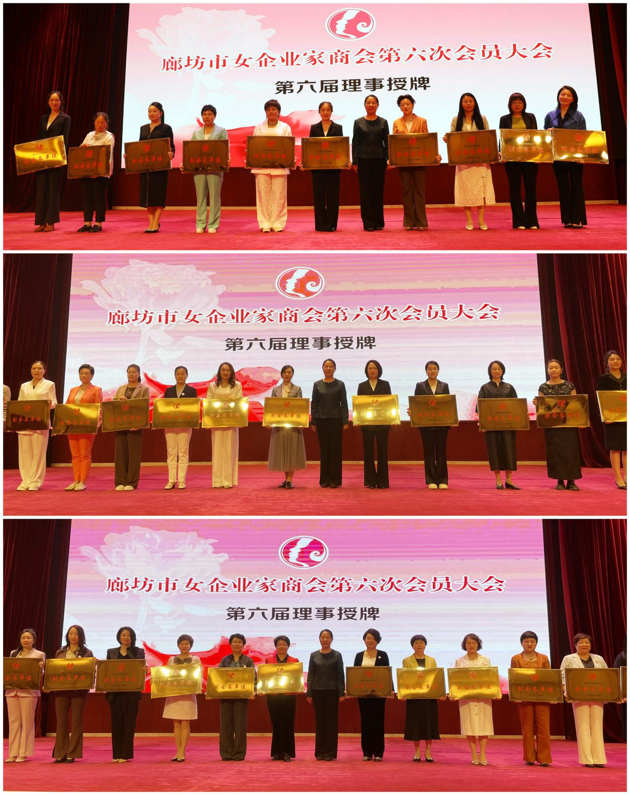 巾帼品牌聚合力 女商五化谱华章丨廊坊市女企业家商会