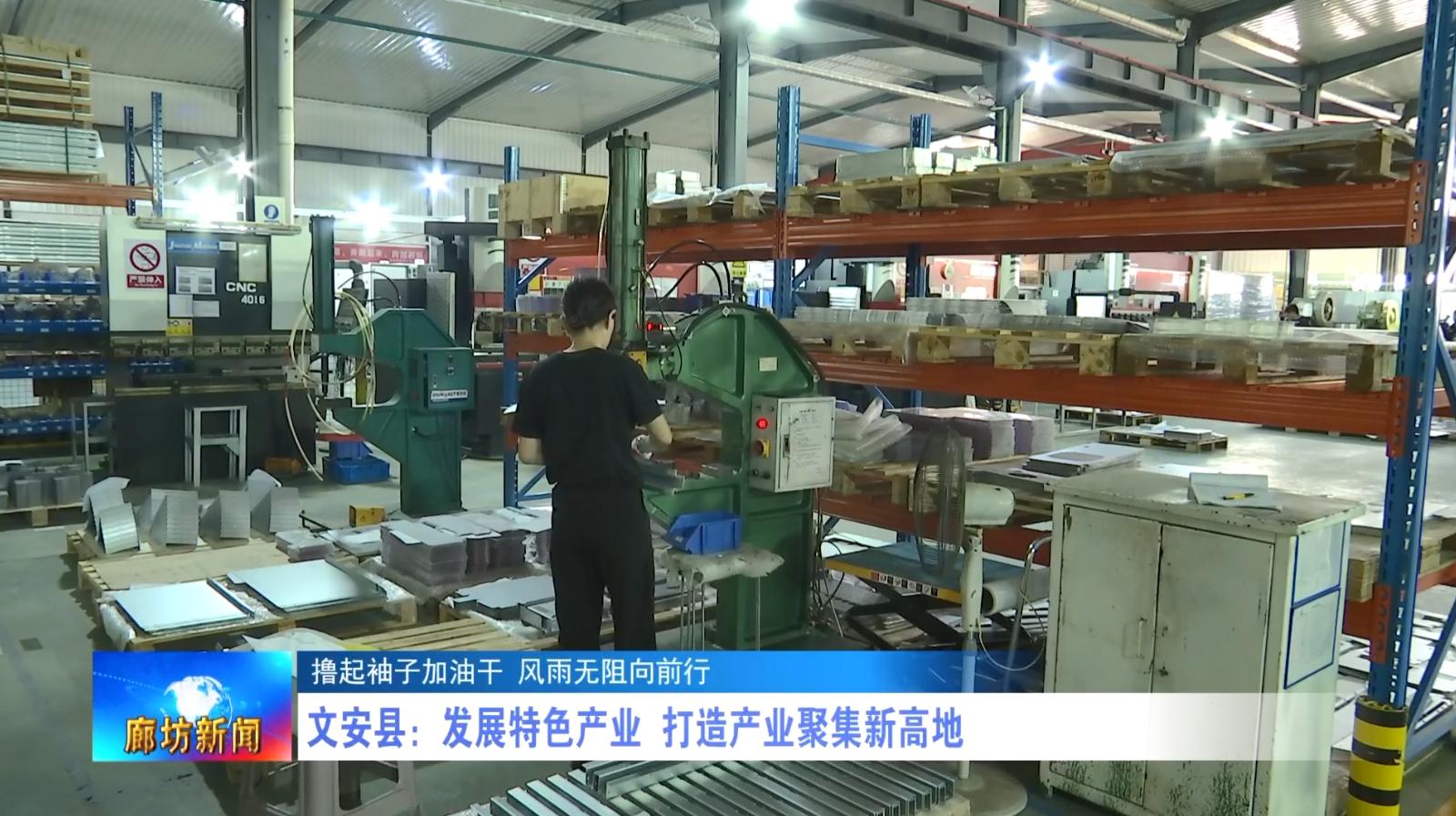 廊坊广电·关注丨【撸起袖子加油干 风雨无阻向前行】文安县:发展特色